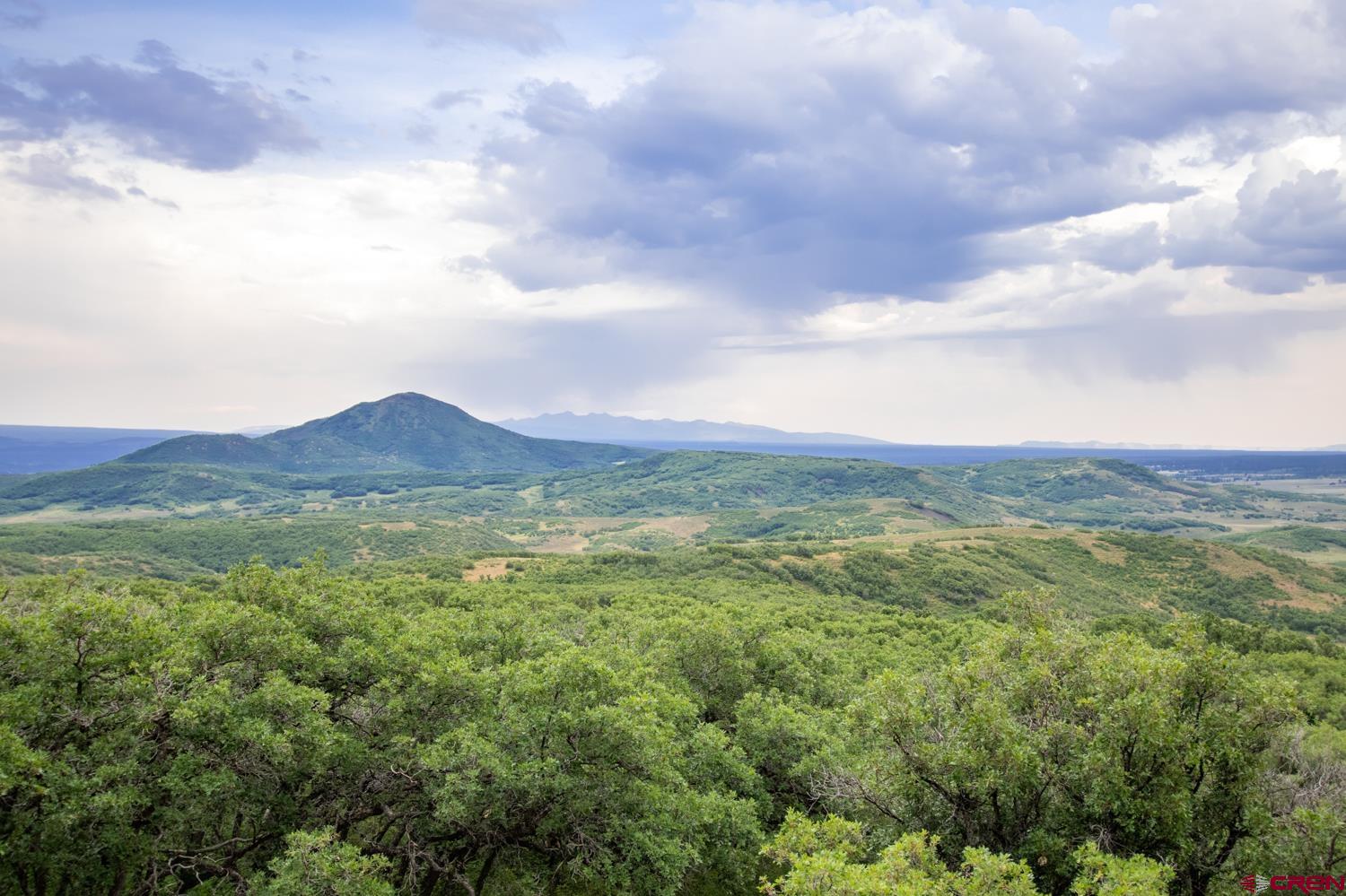 26779 Fs Road Norwood, CO 81423 - Photo 29 of 44 a view of an ocean and a mountain