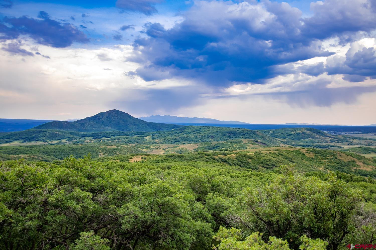 26779 Fs Road Norwood, CO 81423 - Photo 30 of 44 a view of a city with lush green forest