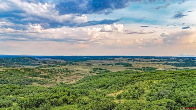 a view of a city with lush green forest