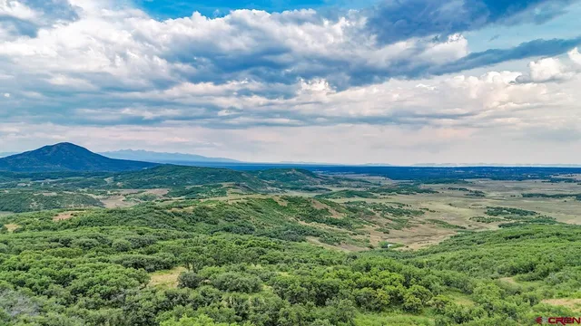 a view of a green field with lots of bushes