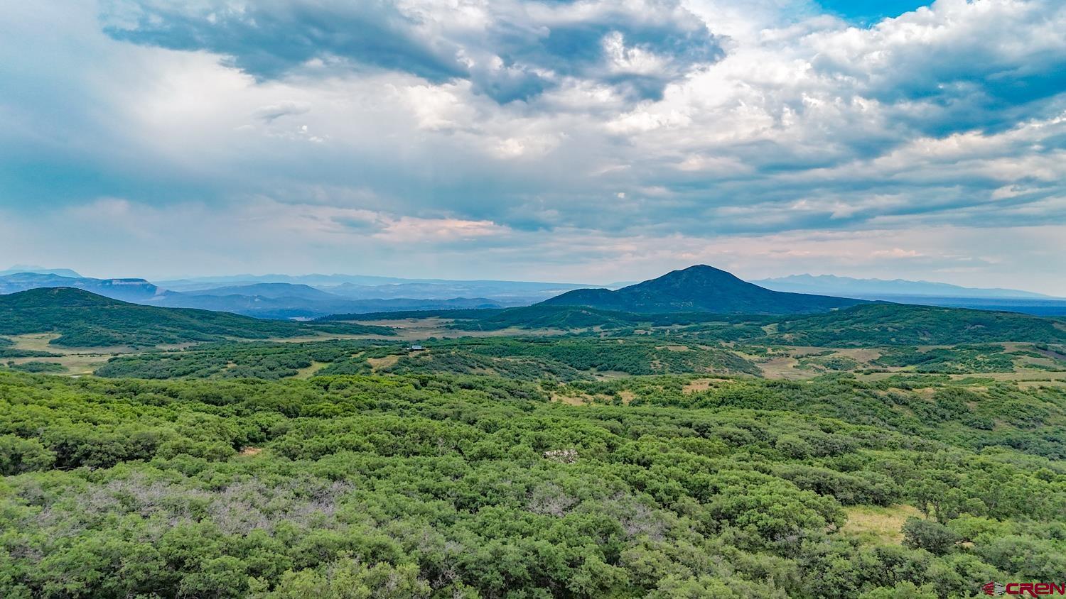 26779 Fs Road Norwood, CO 81423 - Photo 35 of 44 a view of a city with lush green forest