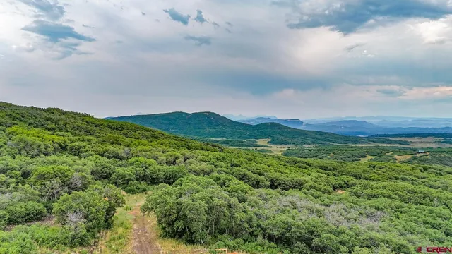 a view of a big yard with lots of green space