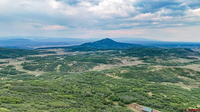 a view of a field with an ocean view