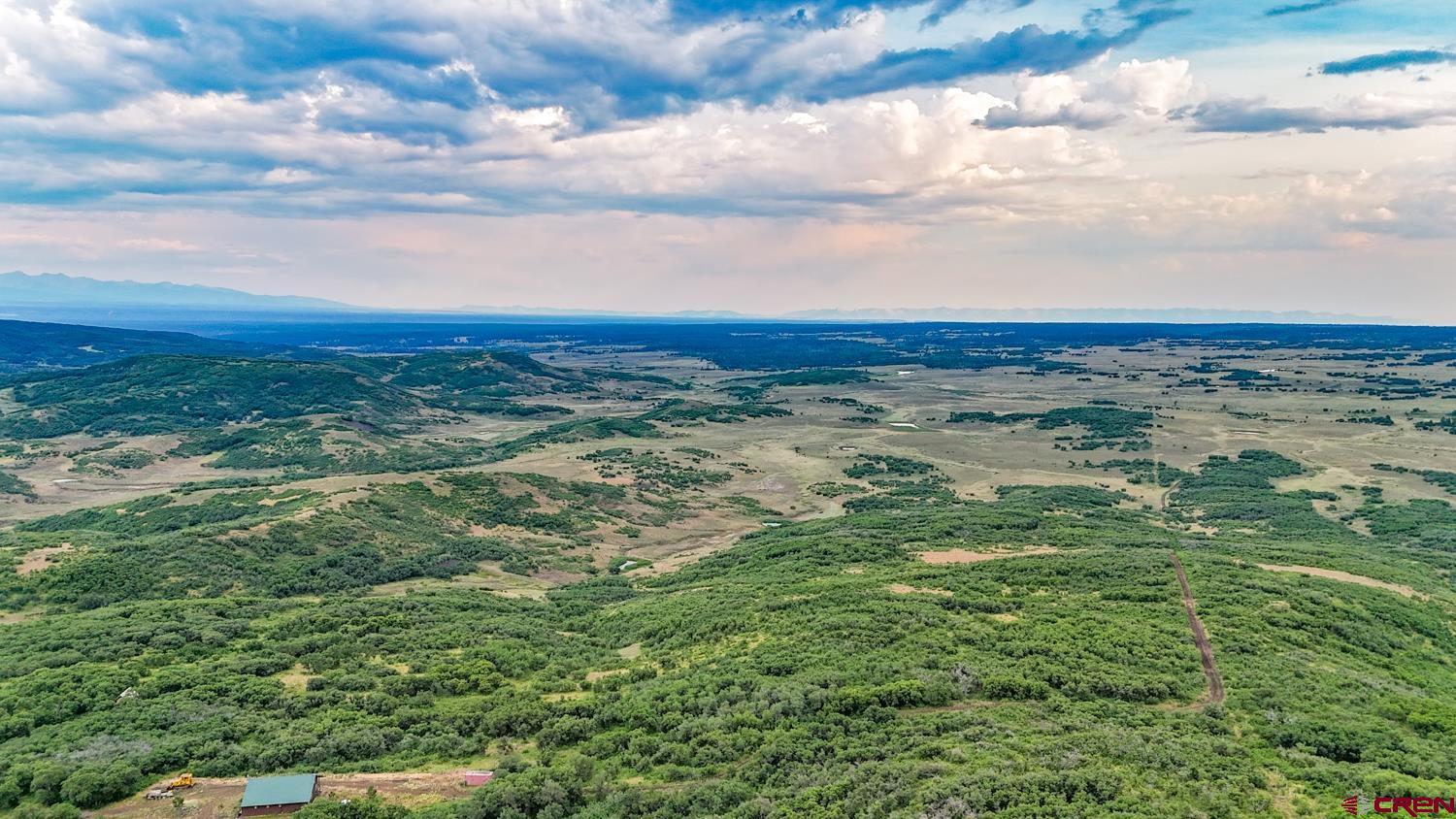 26779 Fs Road Norwood, CO 81423 - Photo 38 of 44 a view of a big yard with lots of green space