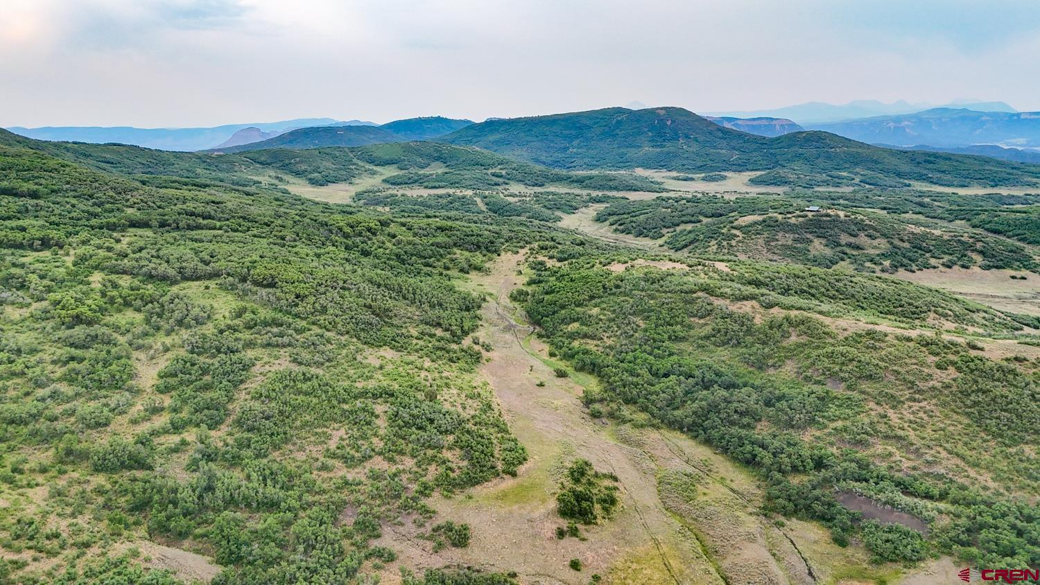 26779 Fs Road Norwood, CO 81423 - Photo 42 of 44 a view of a lush green hillside and a houses