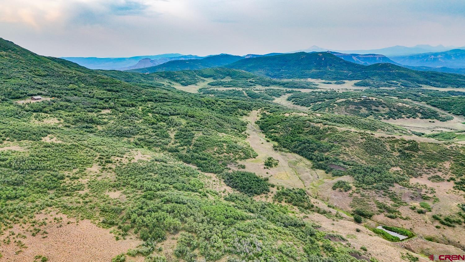 26779 Fs Road Norwood, CO 81423 - Photo 44 of 44 a view of a lush green forest with mountains in the background