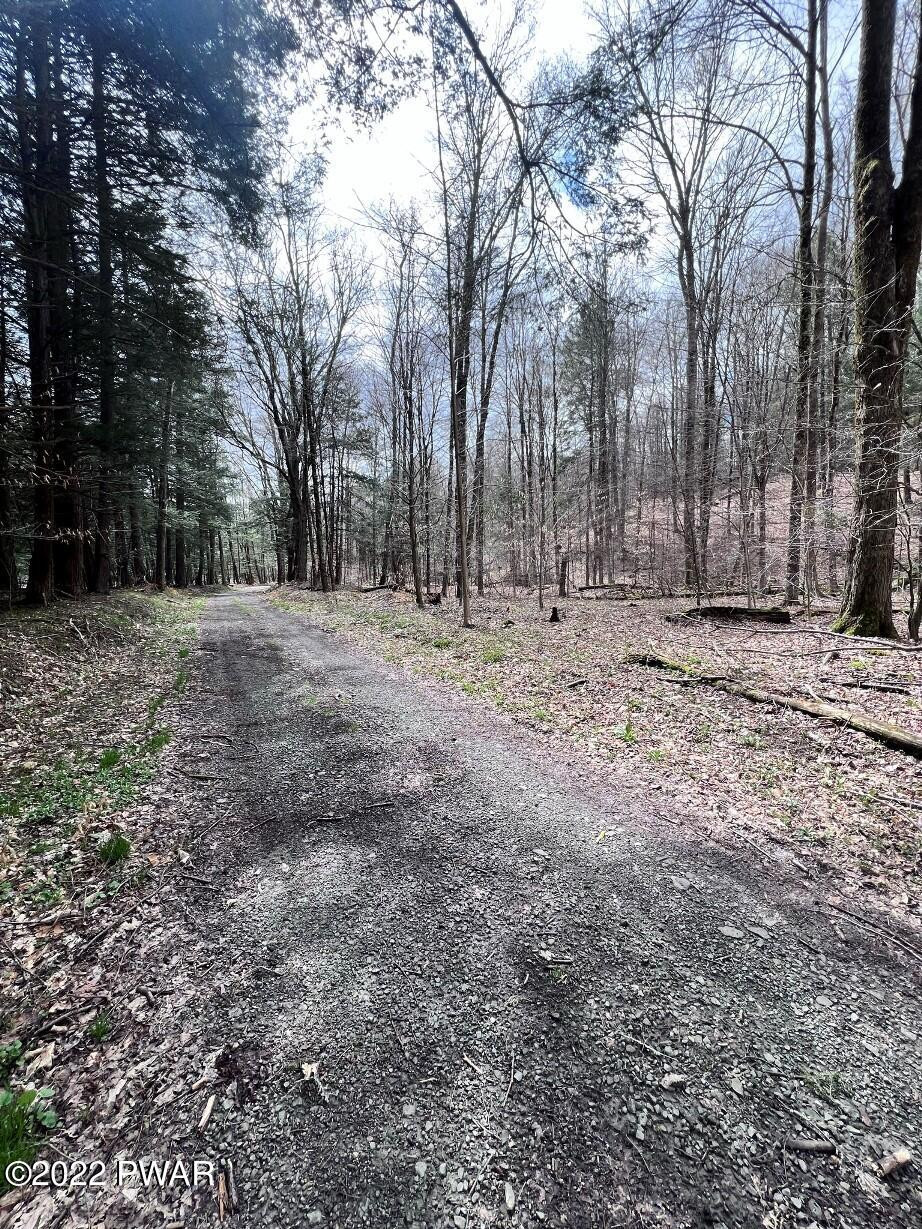 104 Memorial Links Road Pleasant Mount, PA 18453 - Photo 4 of 14