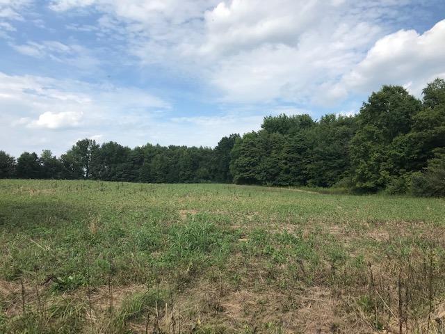 275 Middleboro Road Blanchester, OH 45107 - Photo 9 of 12