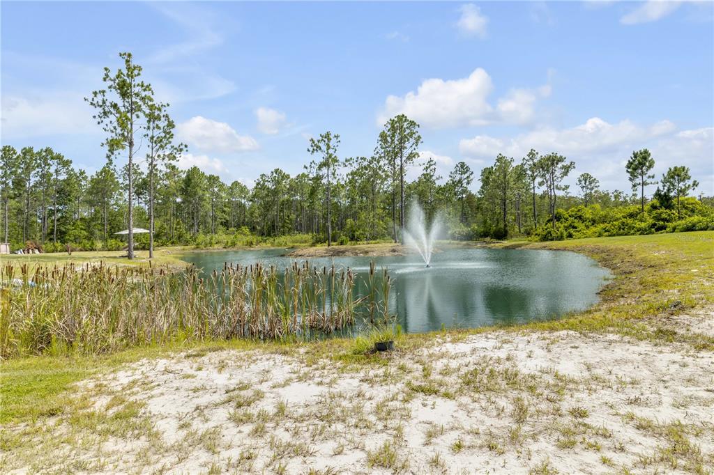 300 Omega Ranch Road Deltona, FL 32738 - Photo 65 of 95
