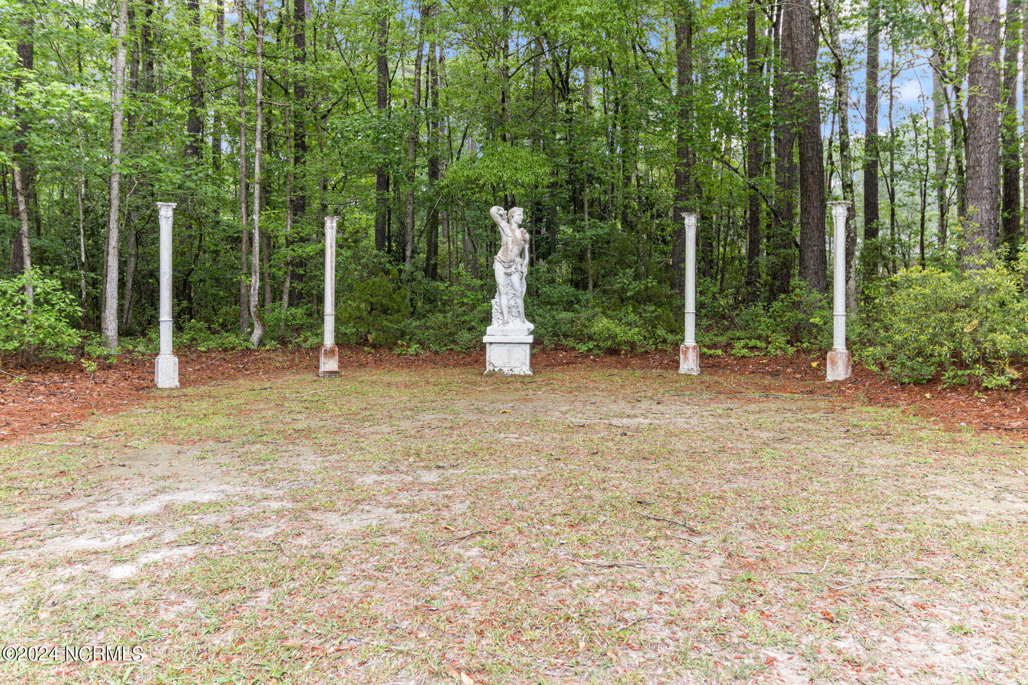 1096 Martin Gourd Road Clarkton, NC 28433 - Photo 48 of 55 Front Yard View