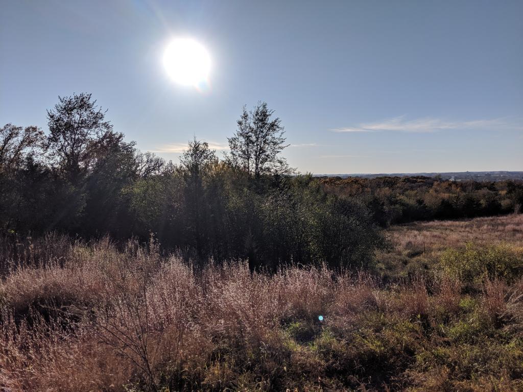 Xxx 16th Avenue Northeast Rochester, MN 55906 - Photo 1 of 1