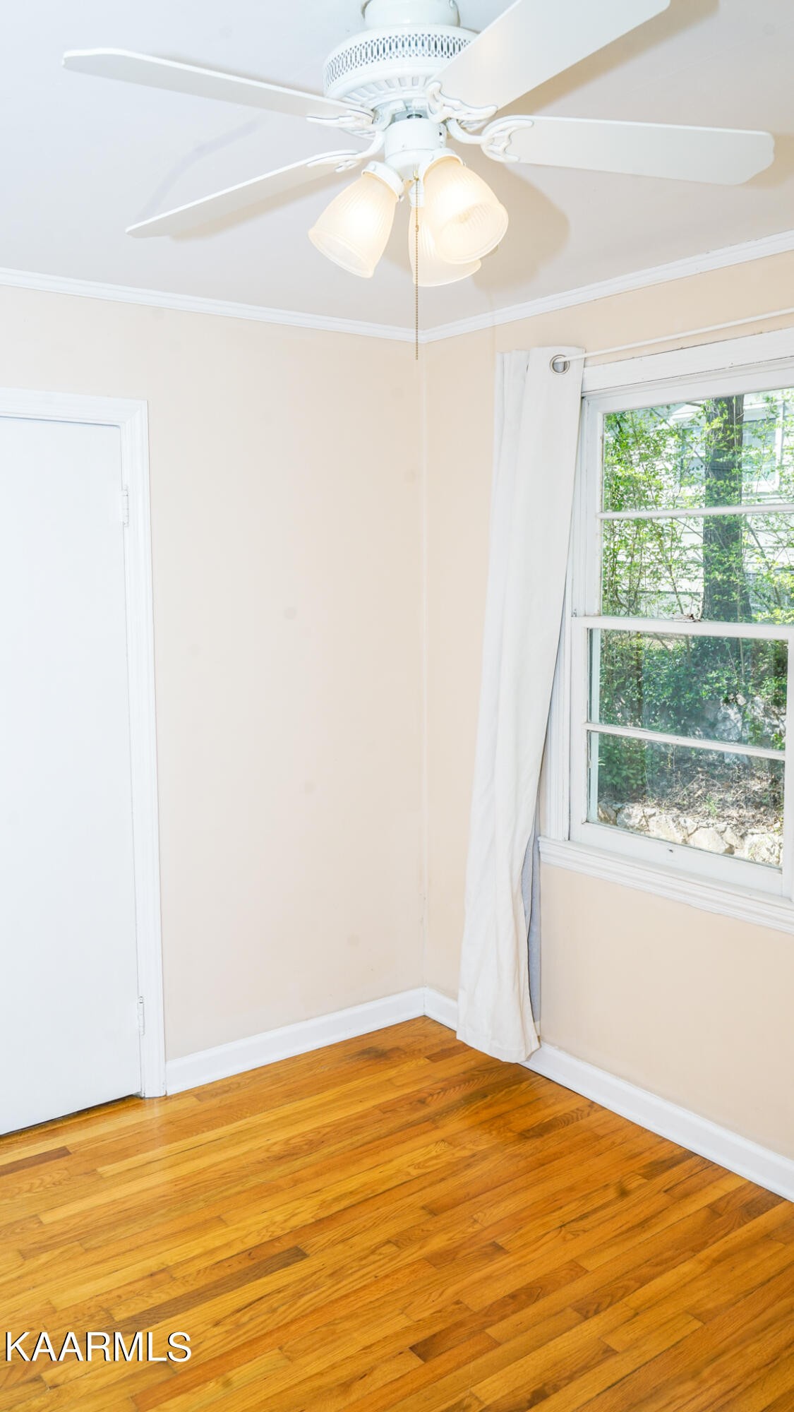 210 Maple Loop Road Knoxville, TN 37920 - Photo 17 of 25 Gallery Image 17