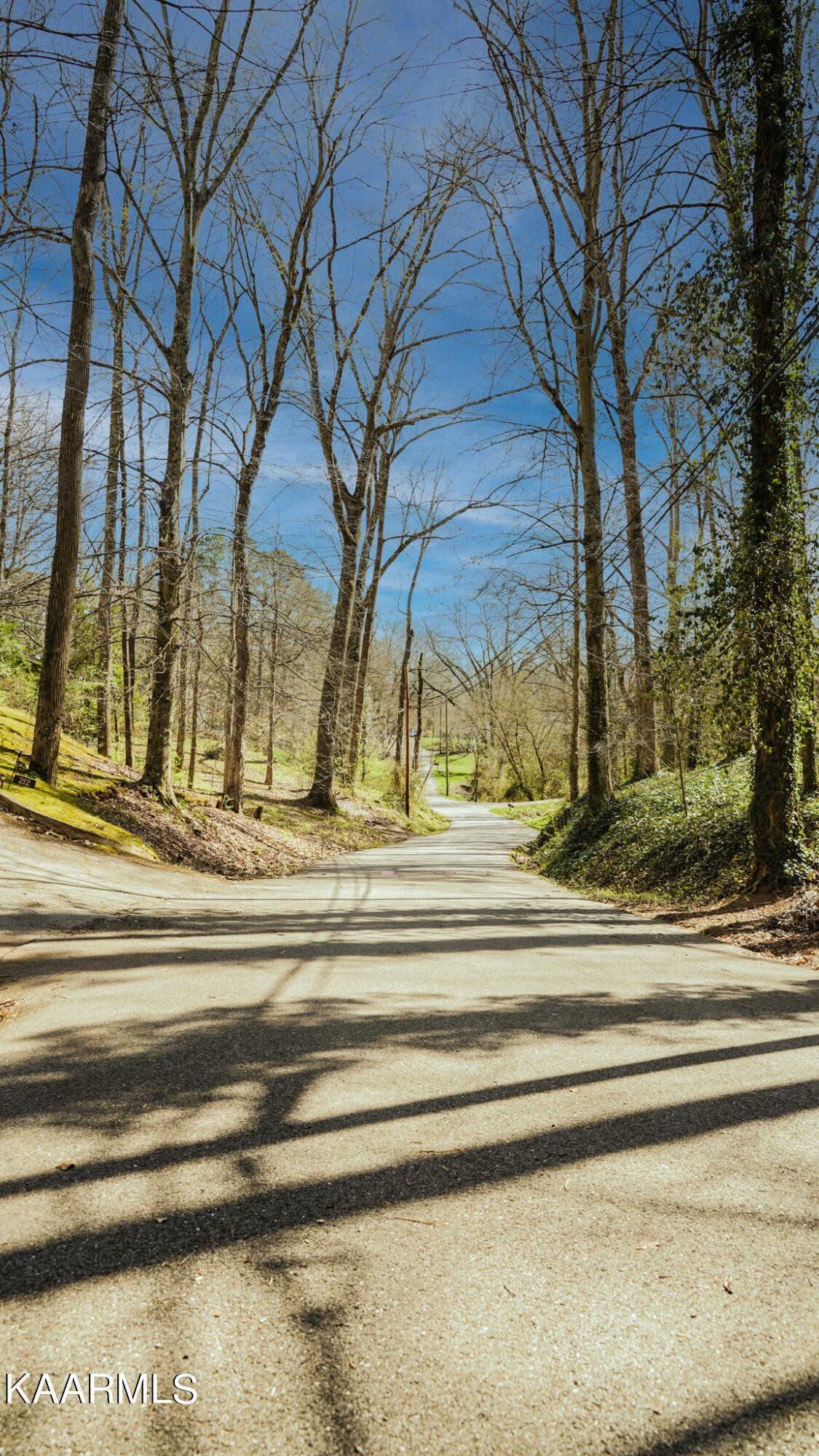 210 Maple Loop Road Knoxville, TN 37920 - Photo 24 of 25 Gallery Image 24