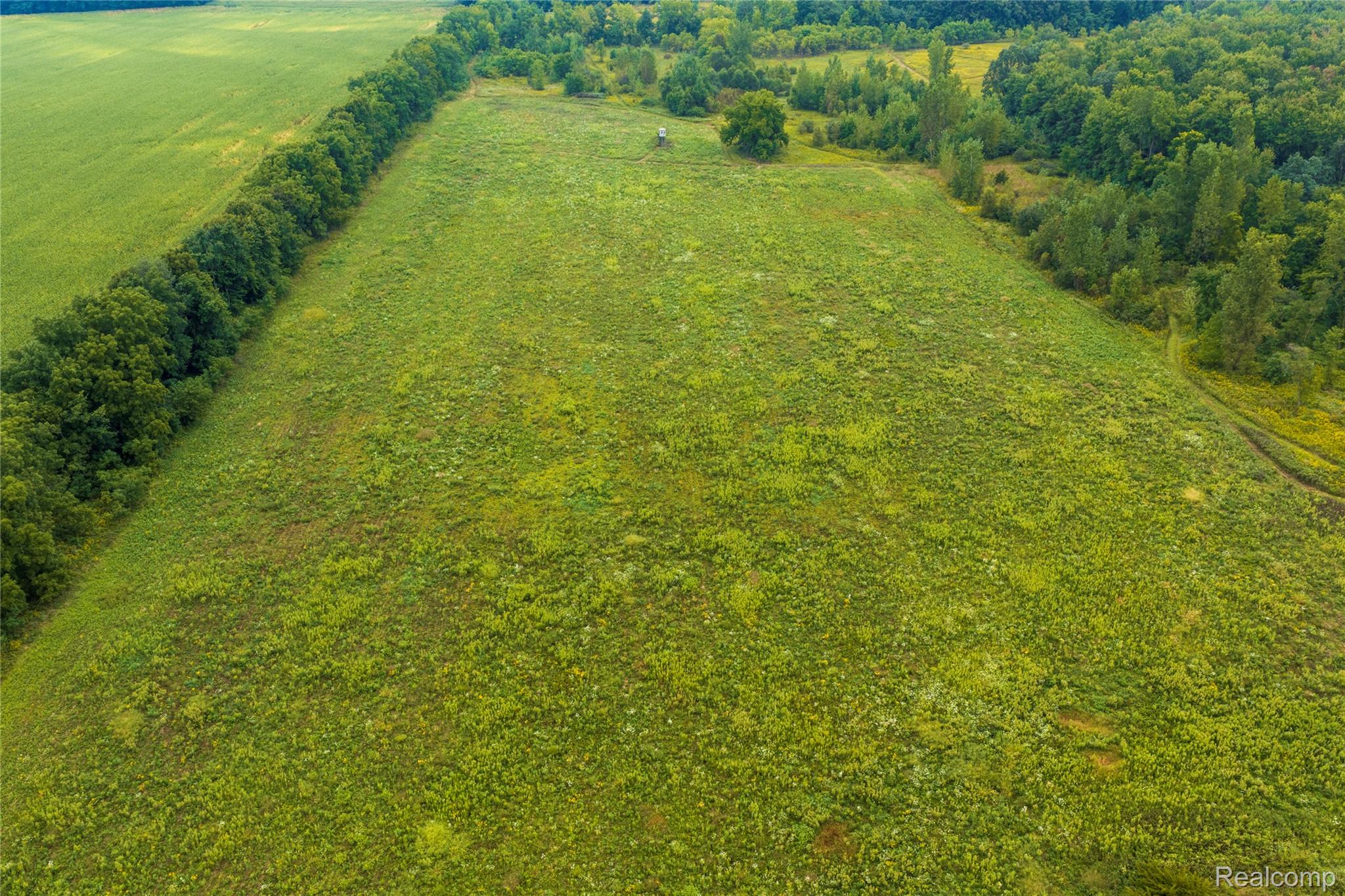 10582 Grover Road Reading, MI 49274 - Photo 2 of 18 2 Reading west 17a ag.jpg