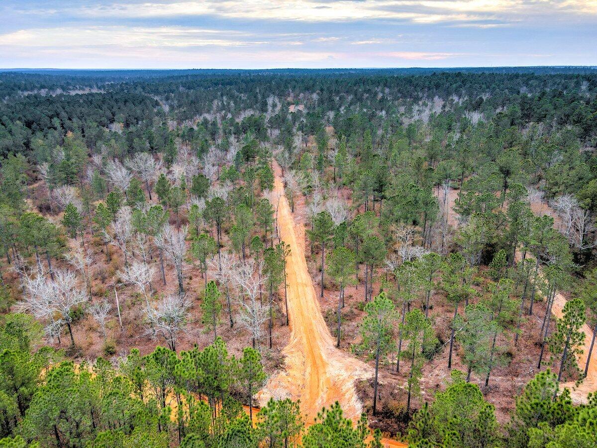 0 Deer Run Road, Unit C Williston, SC 29853 - Photo 1 of 21 Gallery Image 1