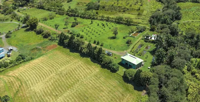 a view of a garden with a building