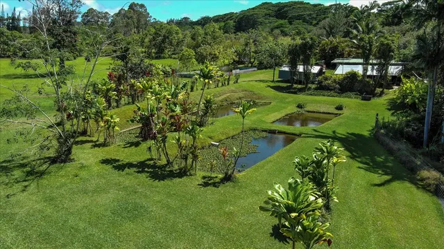 a view of a garden with a building