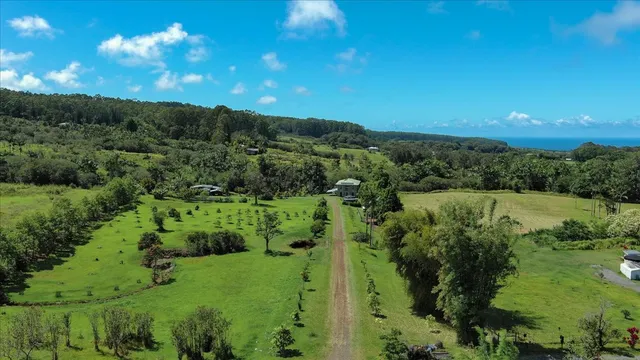 a view of a green field with lots of bushes