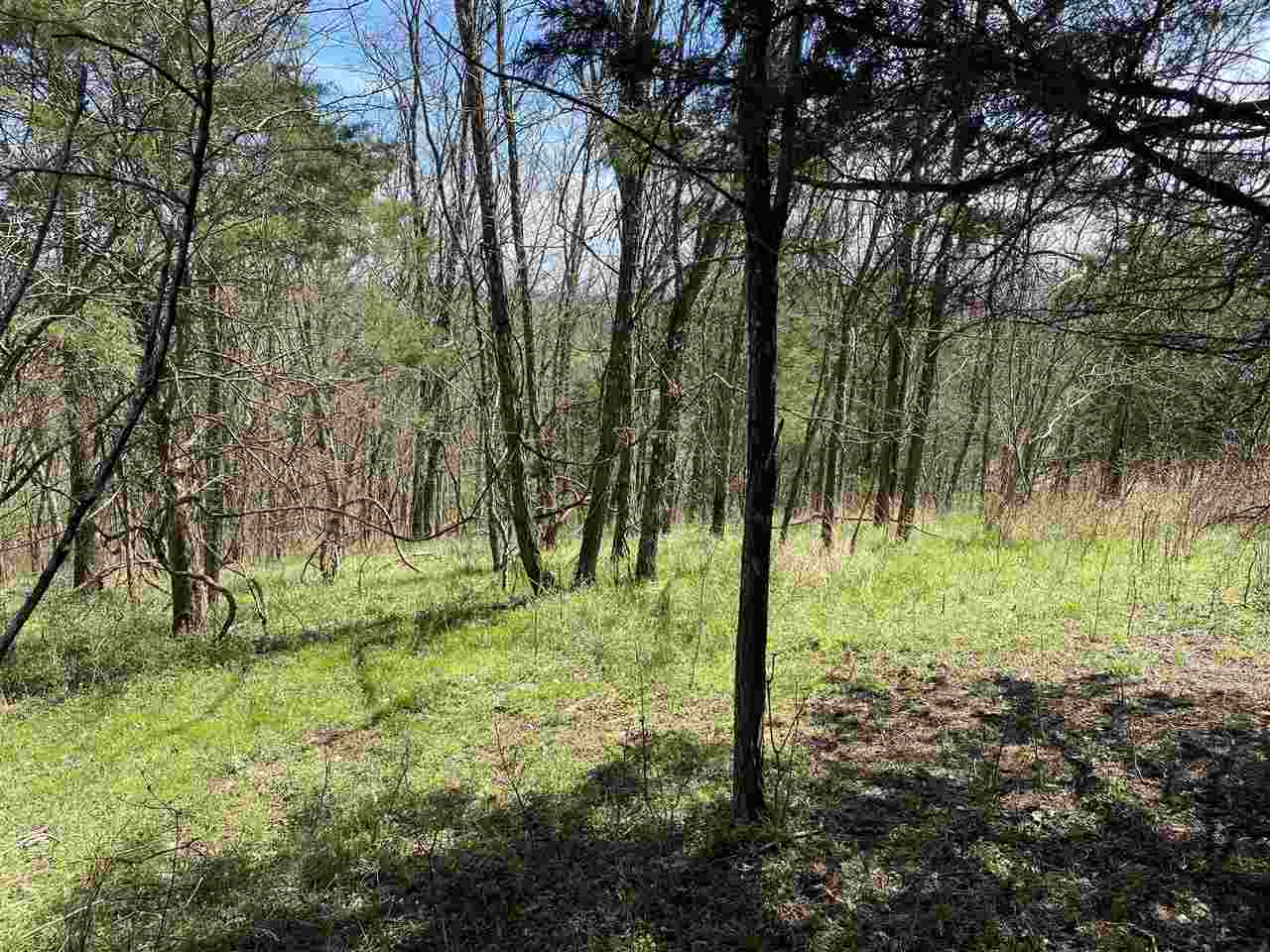 0 Mattox Road Brooksville, KY 41004 - Photo 7 of 22 Gallery Image 7