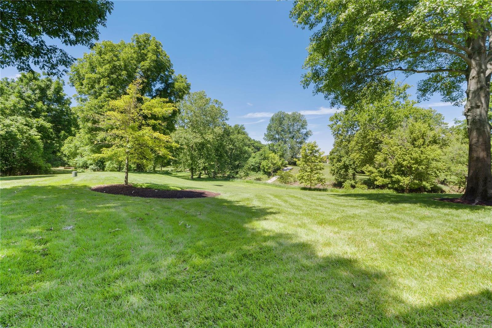 590 Moor Way St. Albans, MO 63073 - Photo 63 of 90