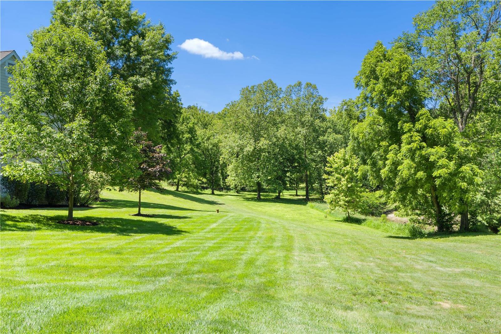 590 Moor Way St. Albans, MO 63073 - Photo 67 of 90