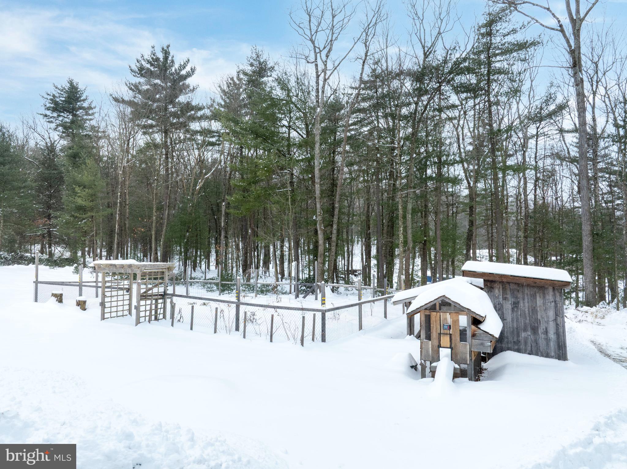 392 Tow Hill Road Port Matilda, PA 16870 - Photo 40 of 50