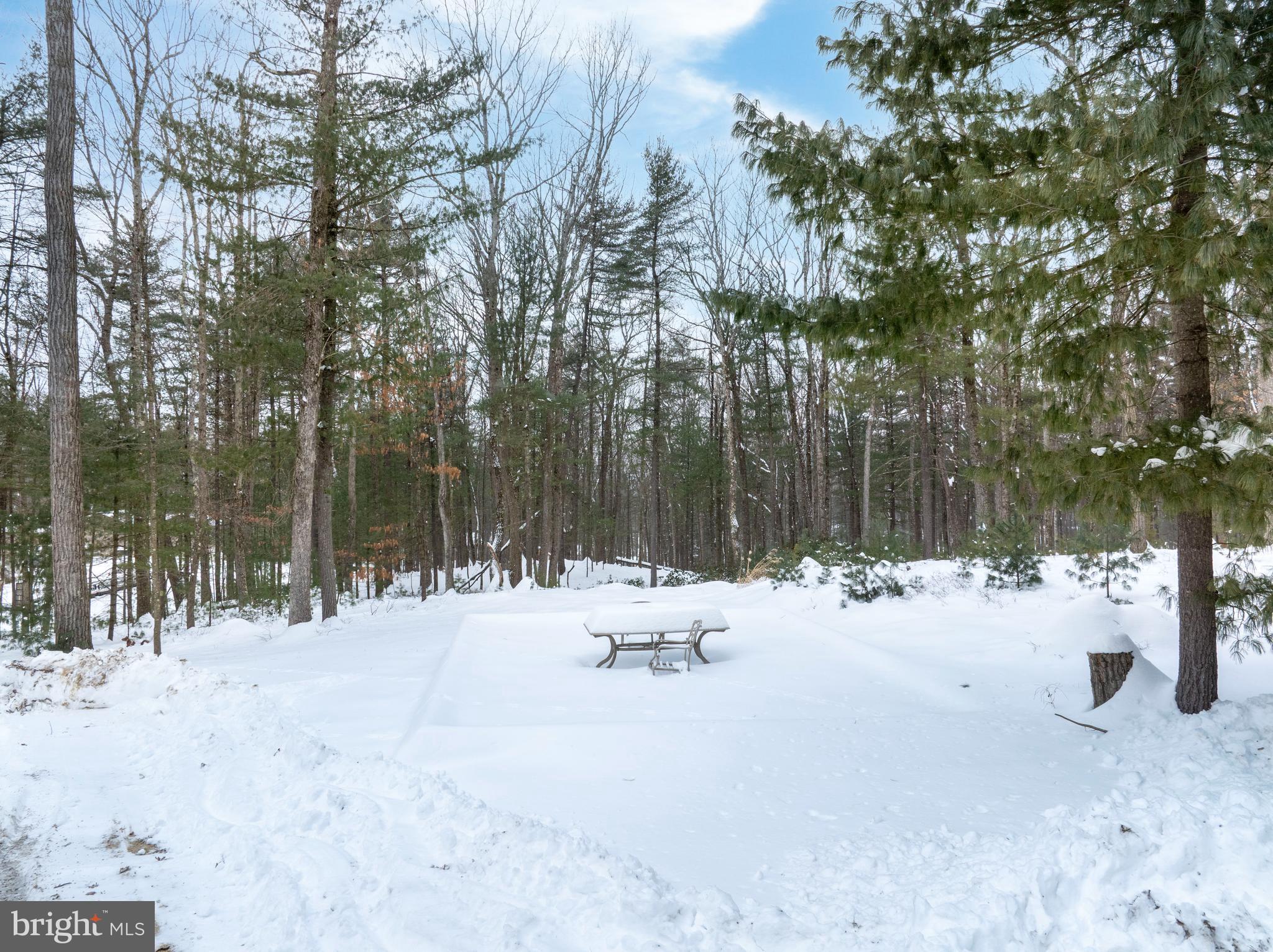 392 Tow Hill Road Port Matilda, PA 16870 - Photo 41 of 50