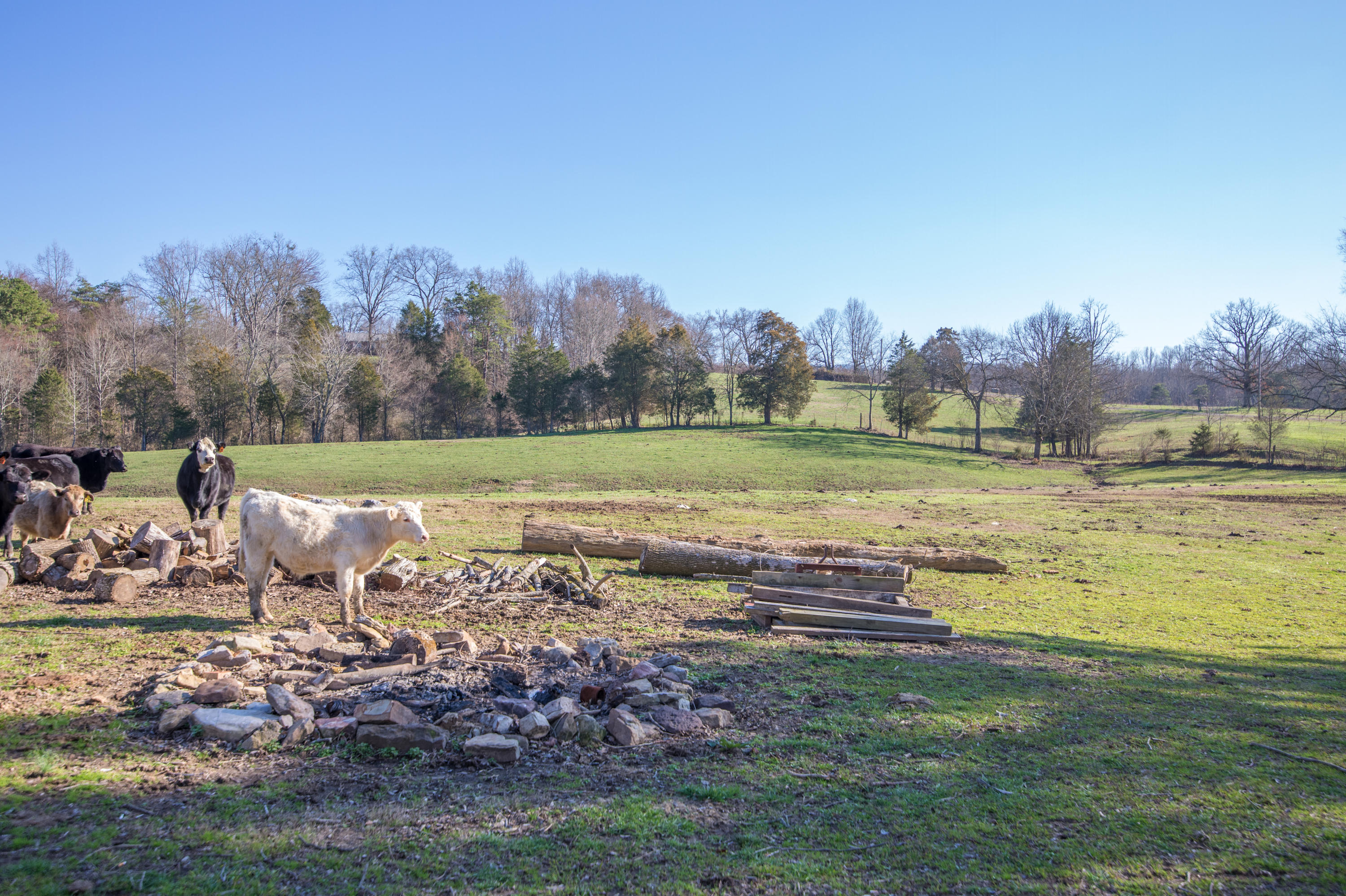 820 Chilhowee View Road Maryville, TN 37803 - Photo 40 of 40 40