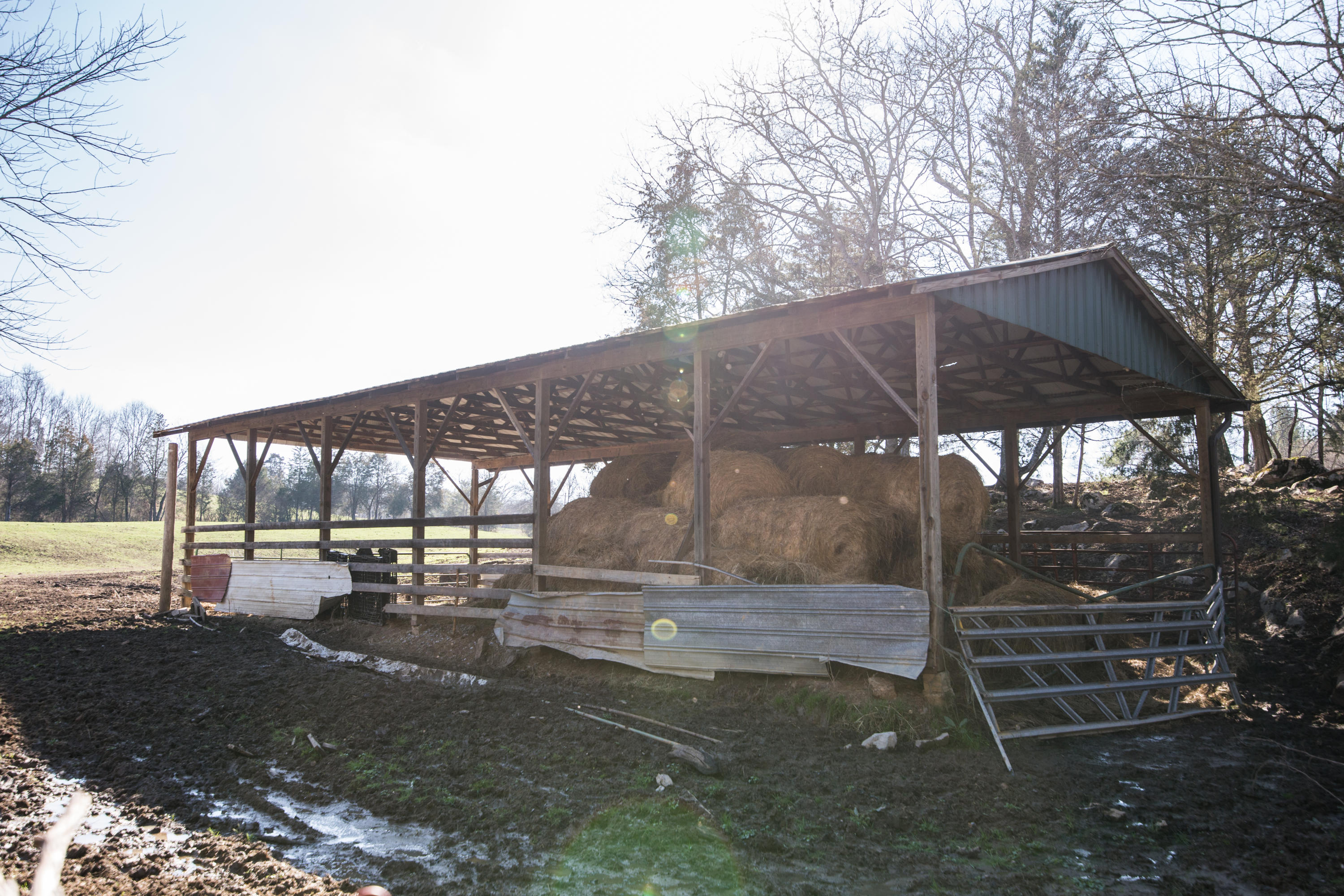 820 Chilhowee View Road Maryville, TN 37803 - Photo 9 of 40 9