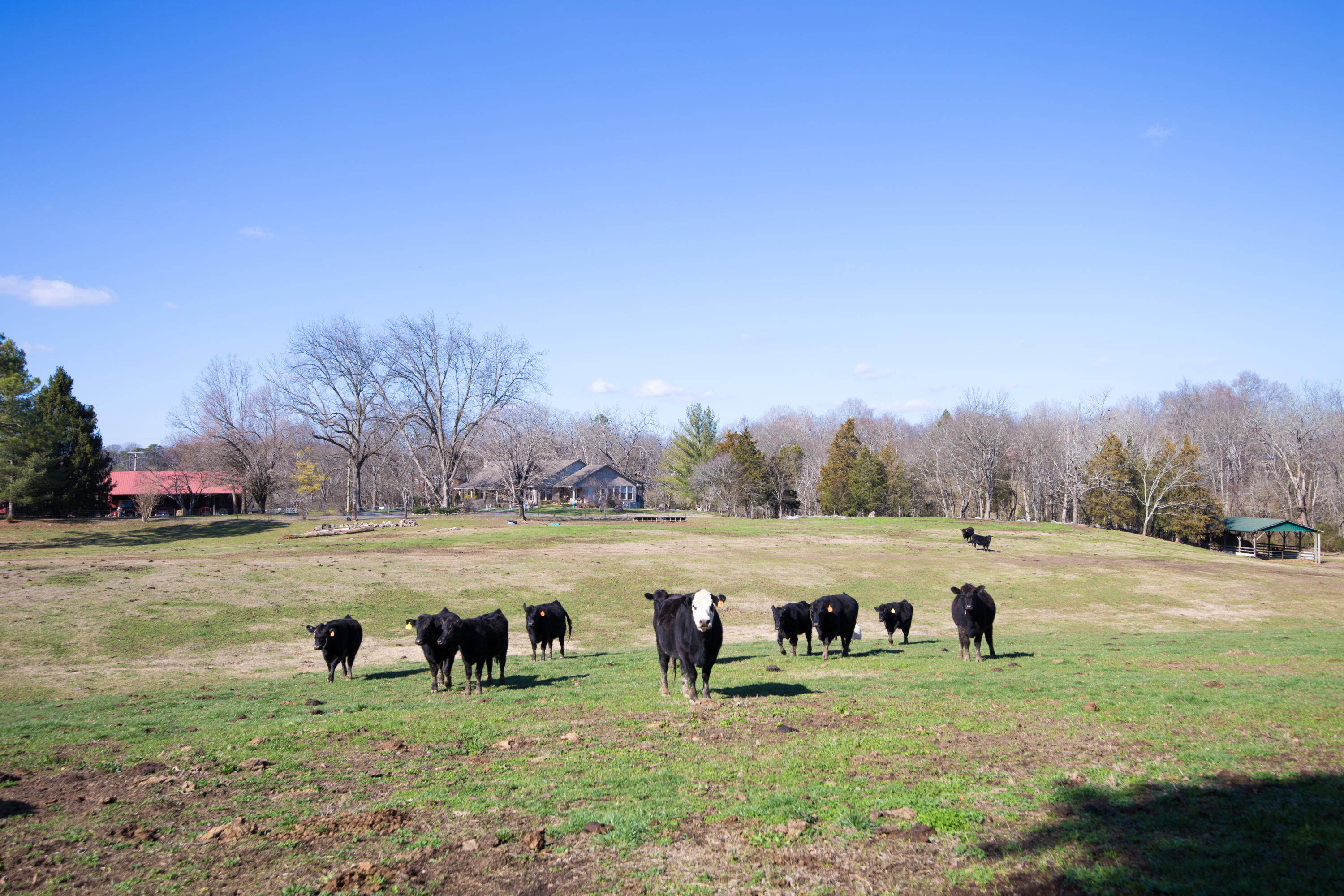 820 Chilhowee View Road Maryville, TN 37803 - Photo 10 of 40 10