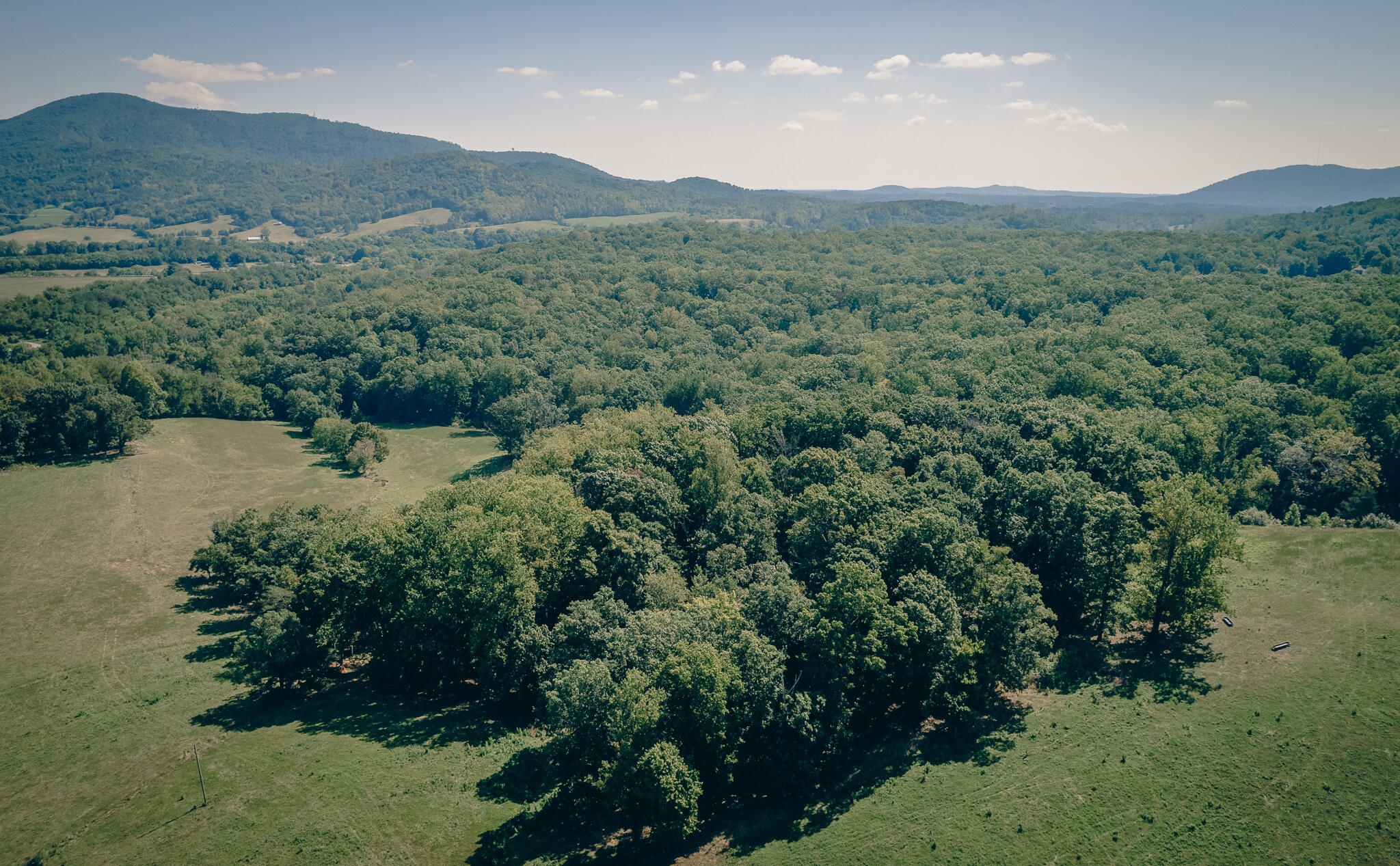 1704 Quarterwood Road Montvale, VA 24122 - Photo 15 of 24 Spurgeon 20