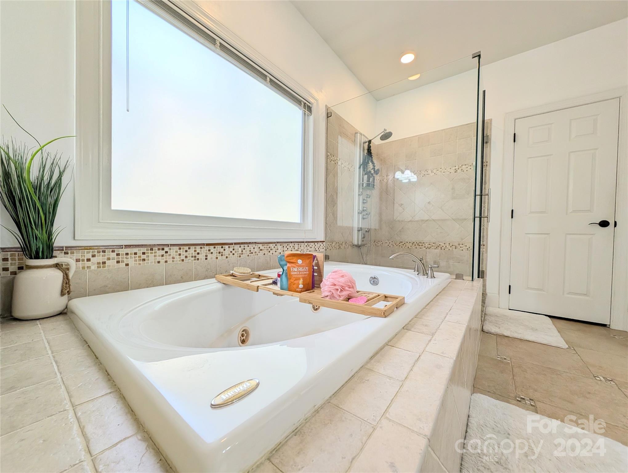 640 Amberly Crossing Fort Mill, SC 29708 - Photo 20 of 45 a bathroom with a tub a sink and a potted plant