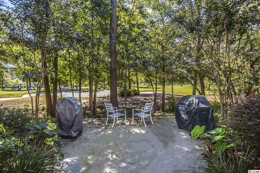 17 Pistachio Loop, Unit D Murrells Inlet, SC 29576 - Photo 29 of 37 Gallery Image 29