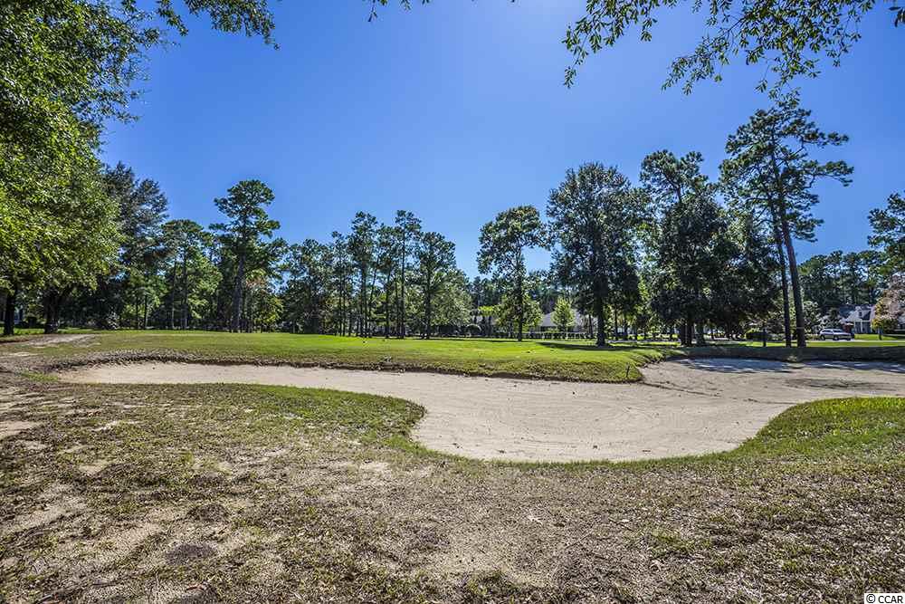 17 Pistachio Loop, Unit D Murrells Inlet, SC 29576 - Photo 36 of 37 Gallery Image 36