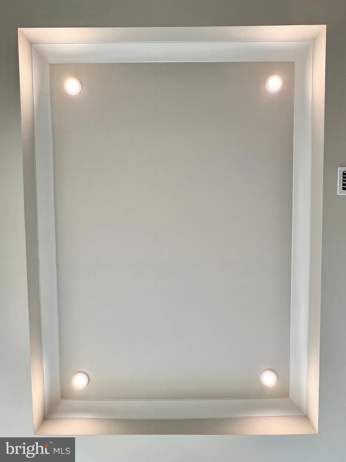 2113 Rivers Drive Newark, DE 19702 - Photo 3 of 47 Tray Ceiling