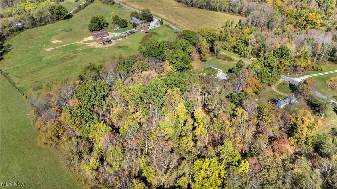 43575 Cream Ridge Road Lisbon, OH 44432 - Photo 39 of 50 Aerial view of property and surrounding area with a forest