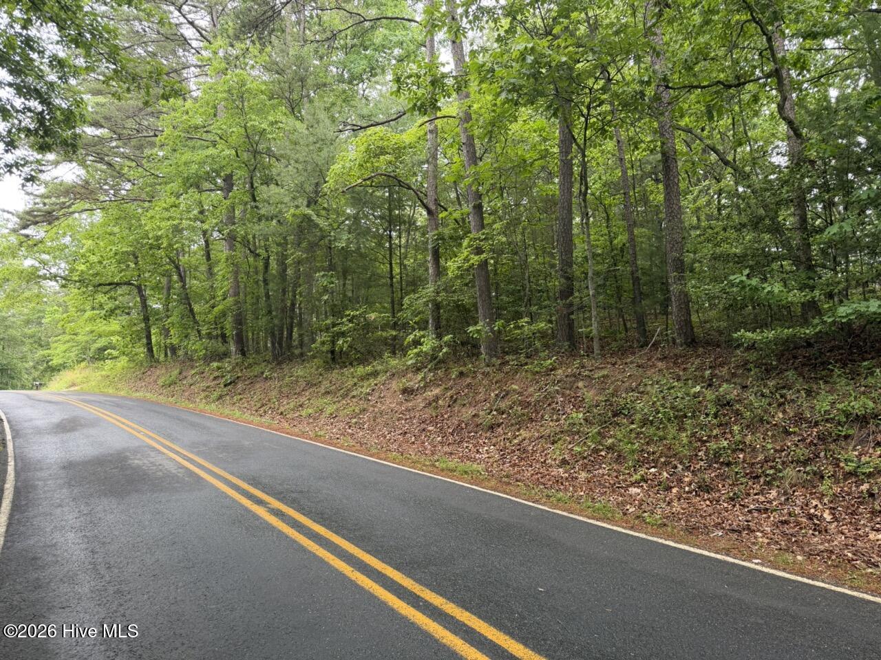 274 Snow Hill Ridge Road Murphy, NC 28906 - Photo 24 of 30