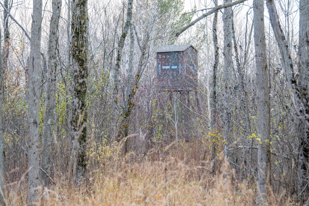 Tbd Djuplin Road Sturgeon Bay, WI 54235 - Photo 8 of 27 Gallery Image 8