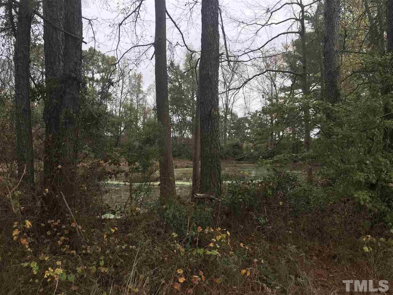 0 Isaham Road Newton Grove, NC 28366 - Photo 6 of 8 Gallery Image 6