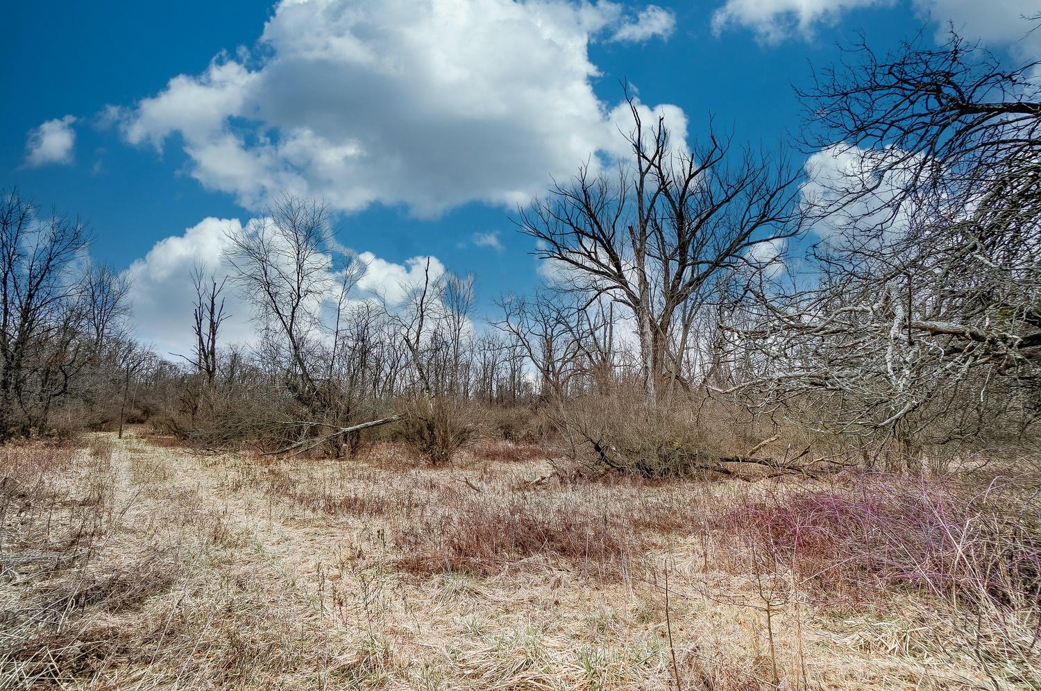 0 Pollock Road Delaware, OH 43015 - Photo 13 of 13
