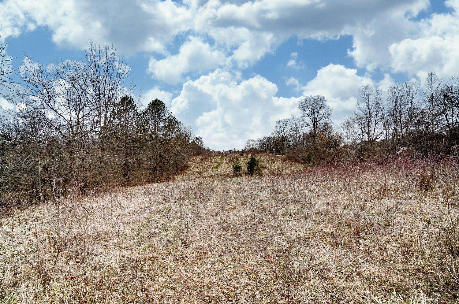 0 Pollock Road Delaware, OH 43015 - Photo 10 of 13