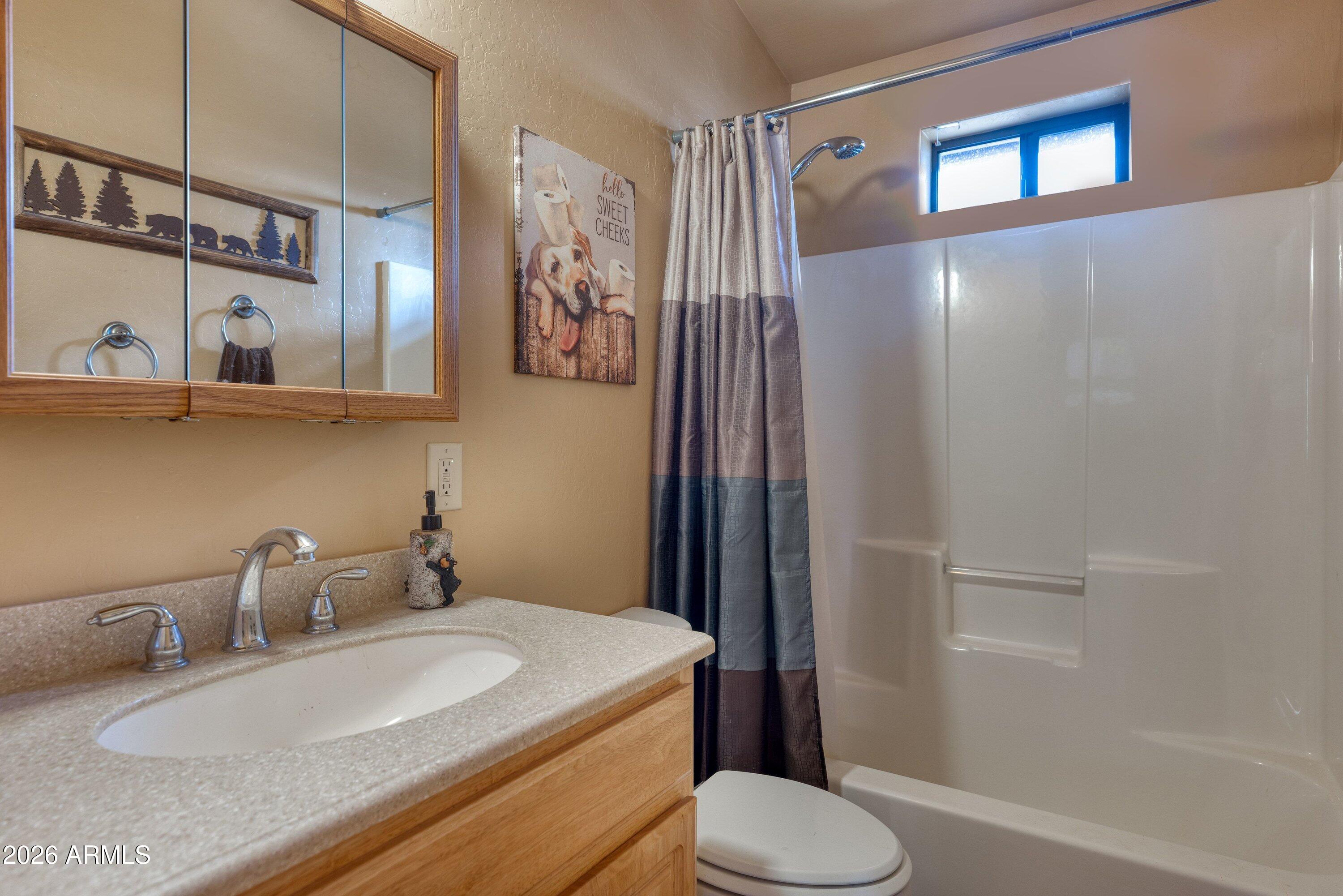 3524 North Buckskin Road Overgaard, AZ 85933 - Photo 13 of 23