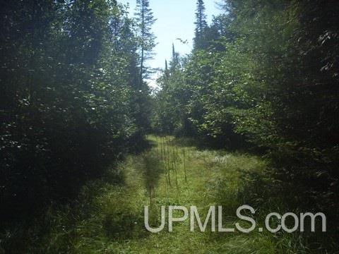 Tbd Off Of I Road Bark River, MI 49807 - Photo 5 of 6
