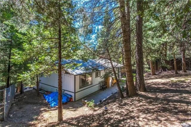 a view of a forest with trees