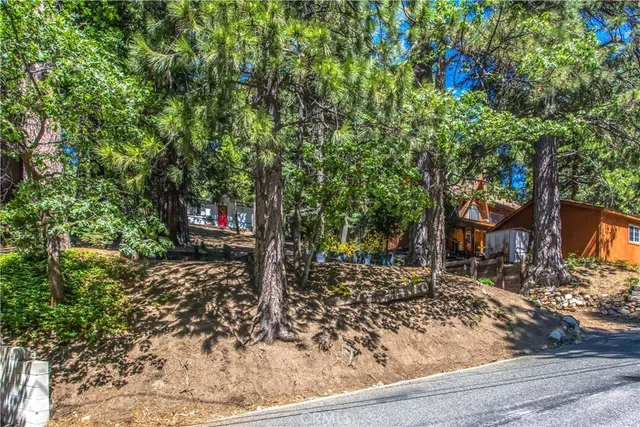 a view of a yard with plants