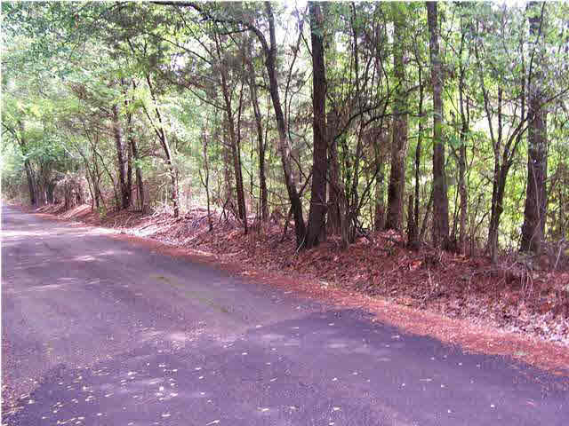 8 Brame Road, Unit 8 Ridgeland, MS 39157 - Photo 2 of 3 Photo 2