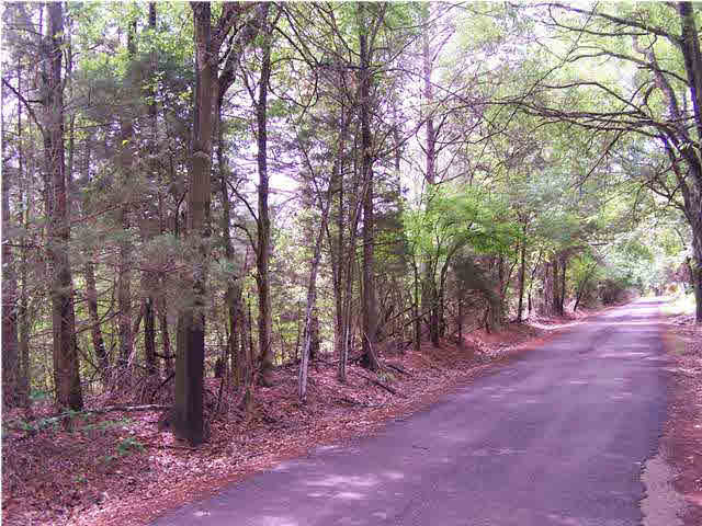 8 Brame Road, Unit 8 Ridgeland, MS 39157 - Photo 3 of 3 Photo 3