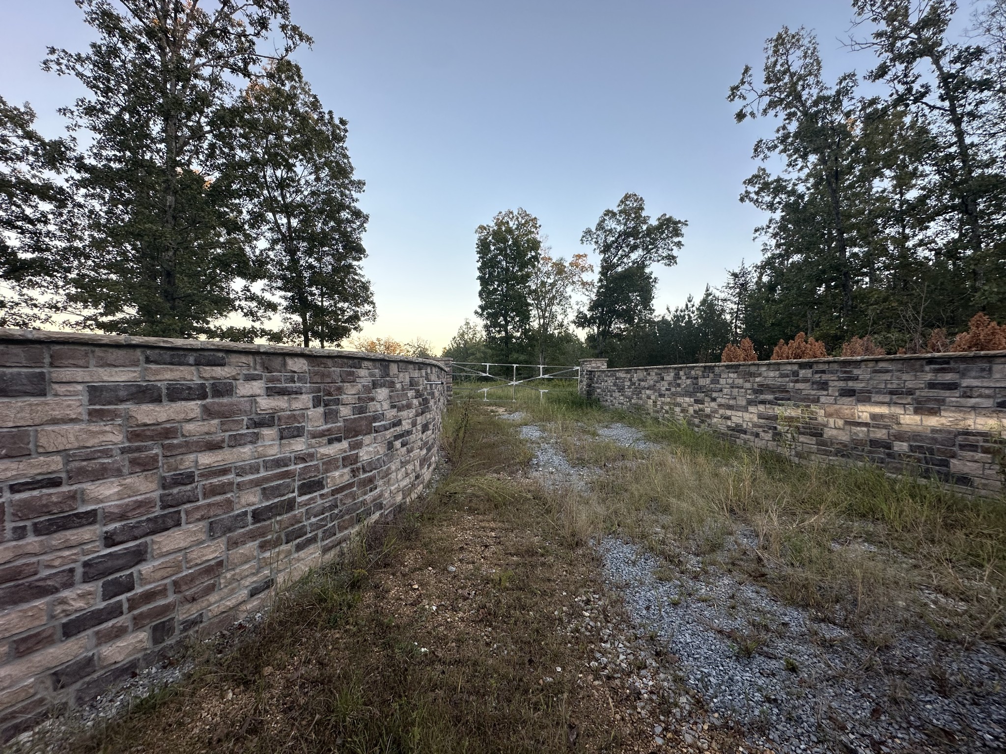 1450 Tummins Road McEwen, TN 37101 - Photo 3 of 11 a view of a yard