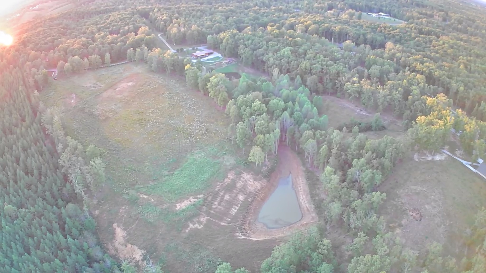 1450 Tummins Road McEwen, TN 37101 - Photo 5 of 11 a close up of a plant in a garden