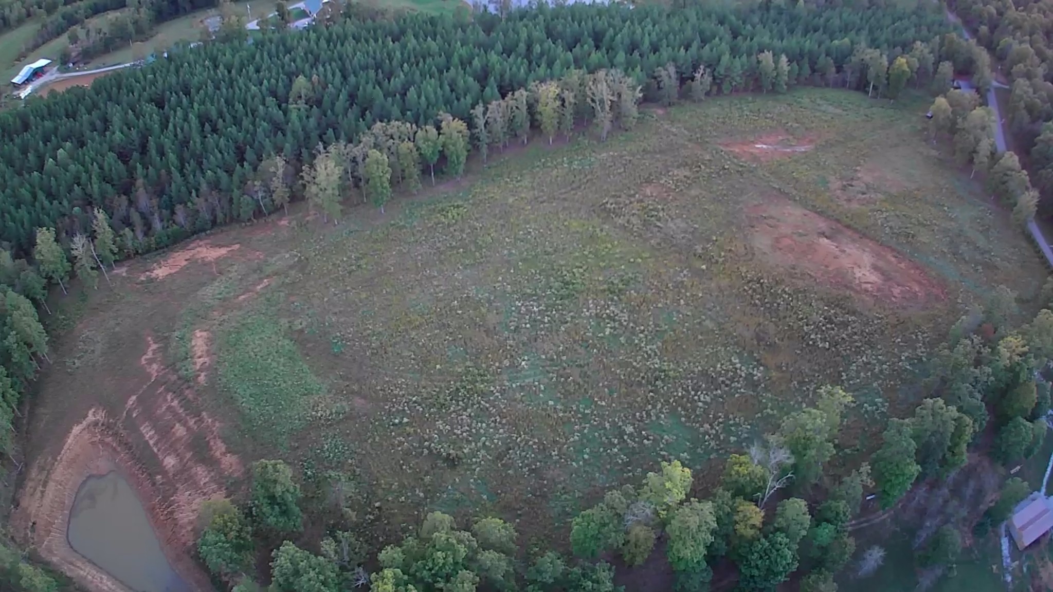 1450 Tummins Road McEwen, TN 37101 - Photo 6 of 11 a view of a forest with a tree